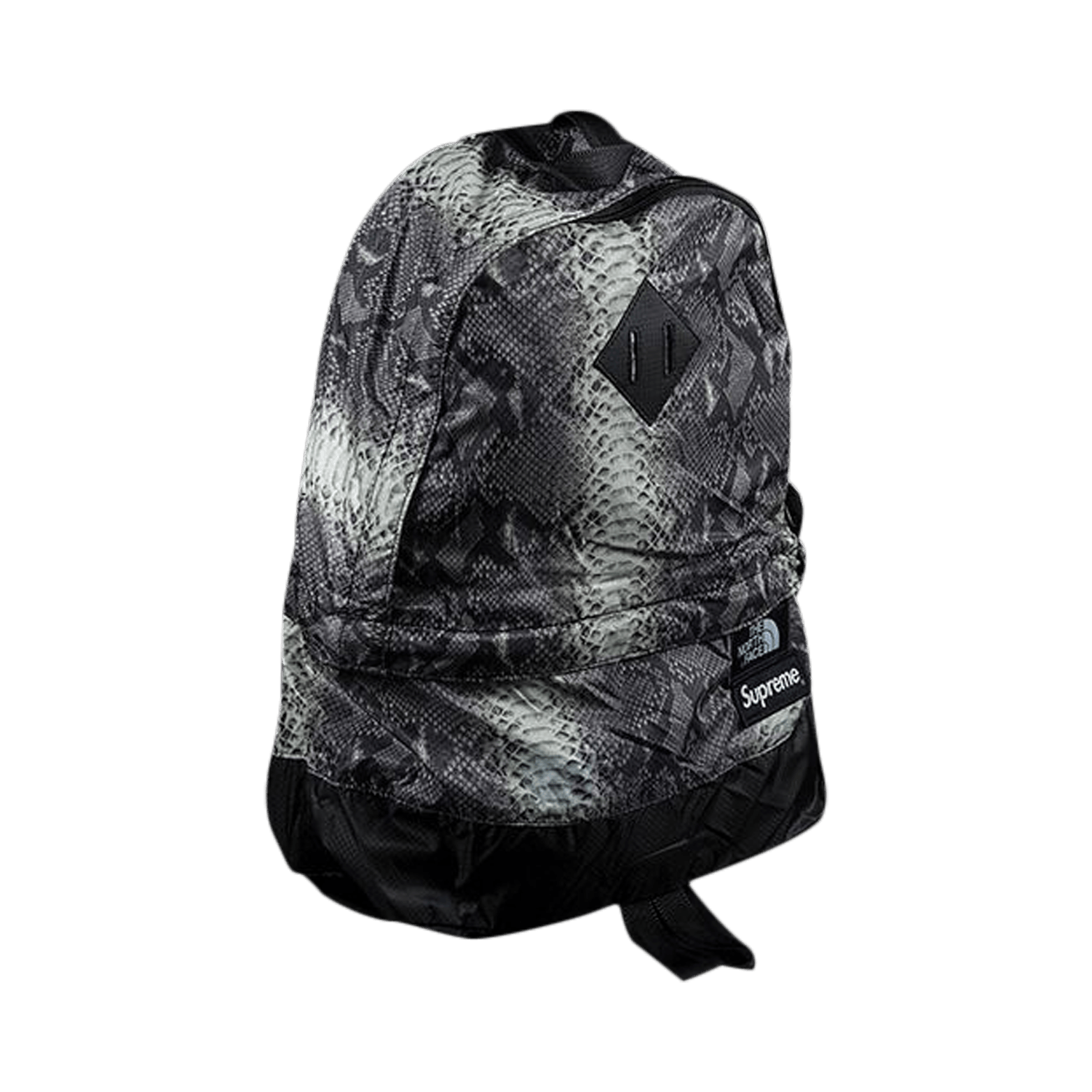 Supreme x The North Face Snakeskin Light Weight Day Pack 'Black'