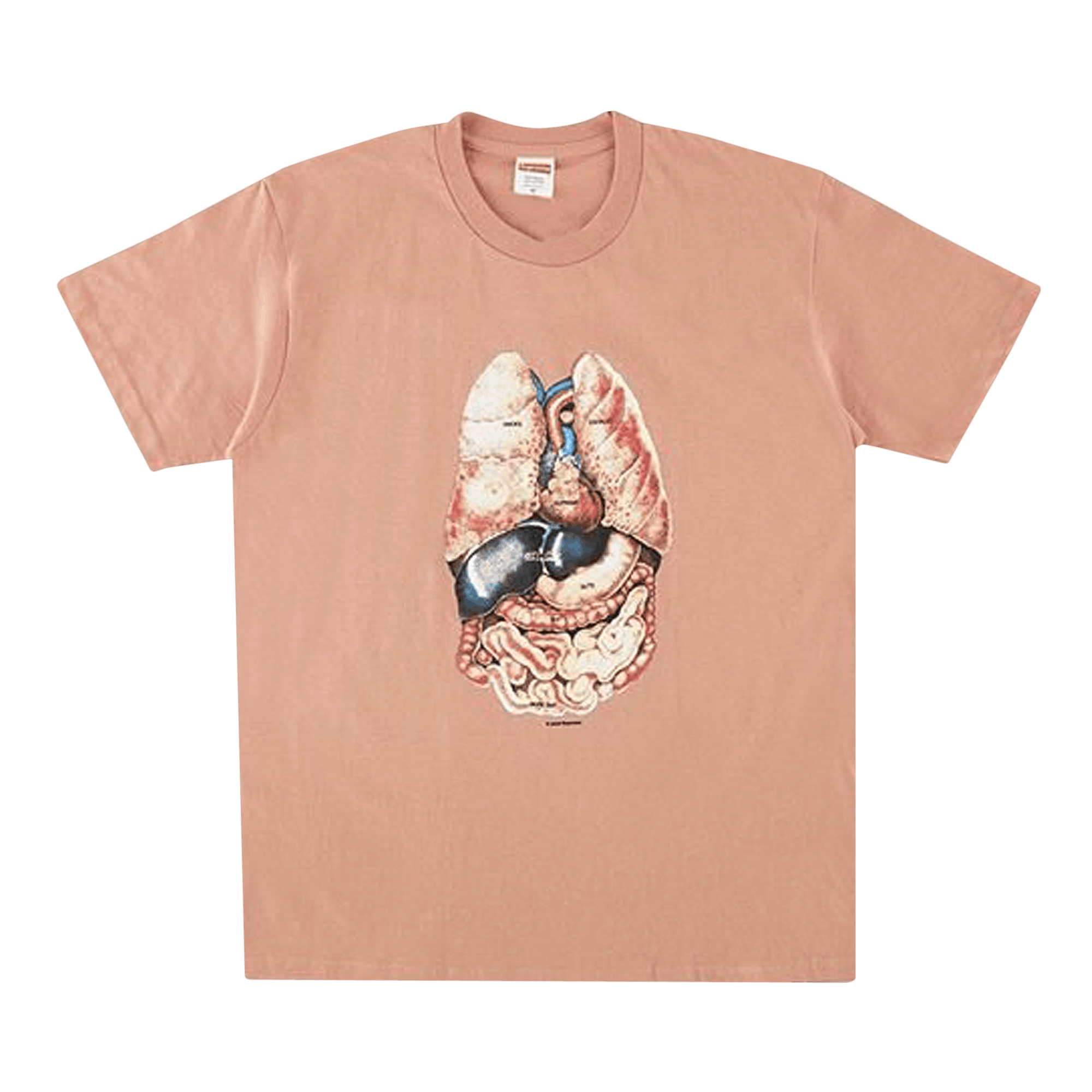 Supreme Guts Tee 'Terra Cotta'