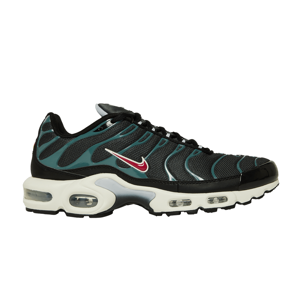 Nike Air Max Plus 'Anthracite Hasta'