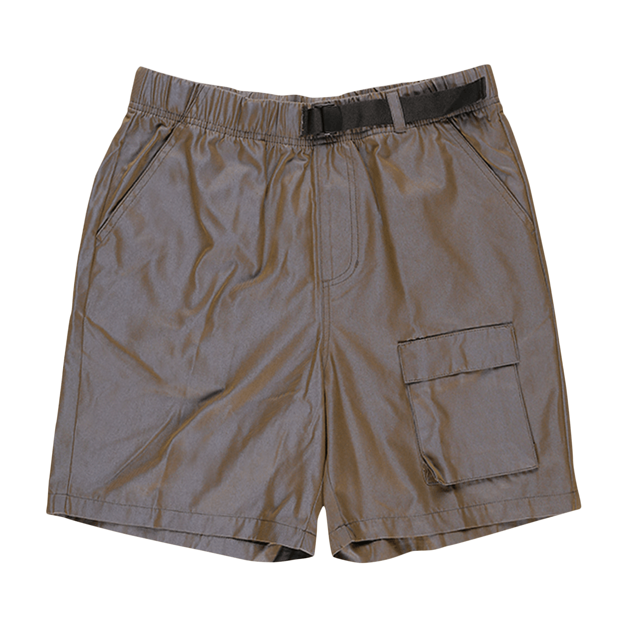Stussy Iridescent Short 'Grey'