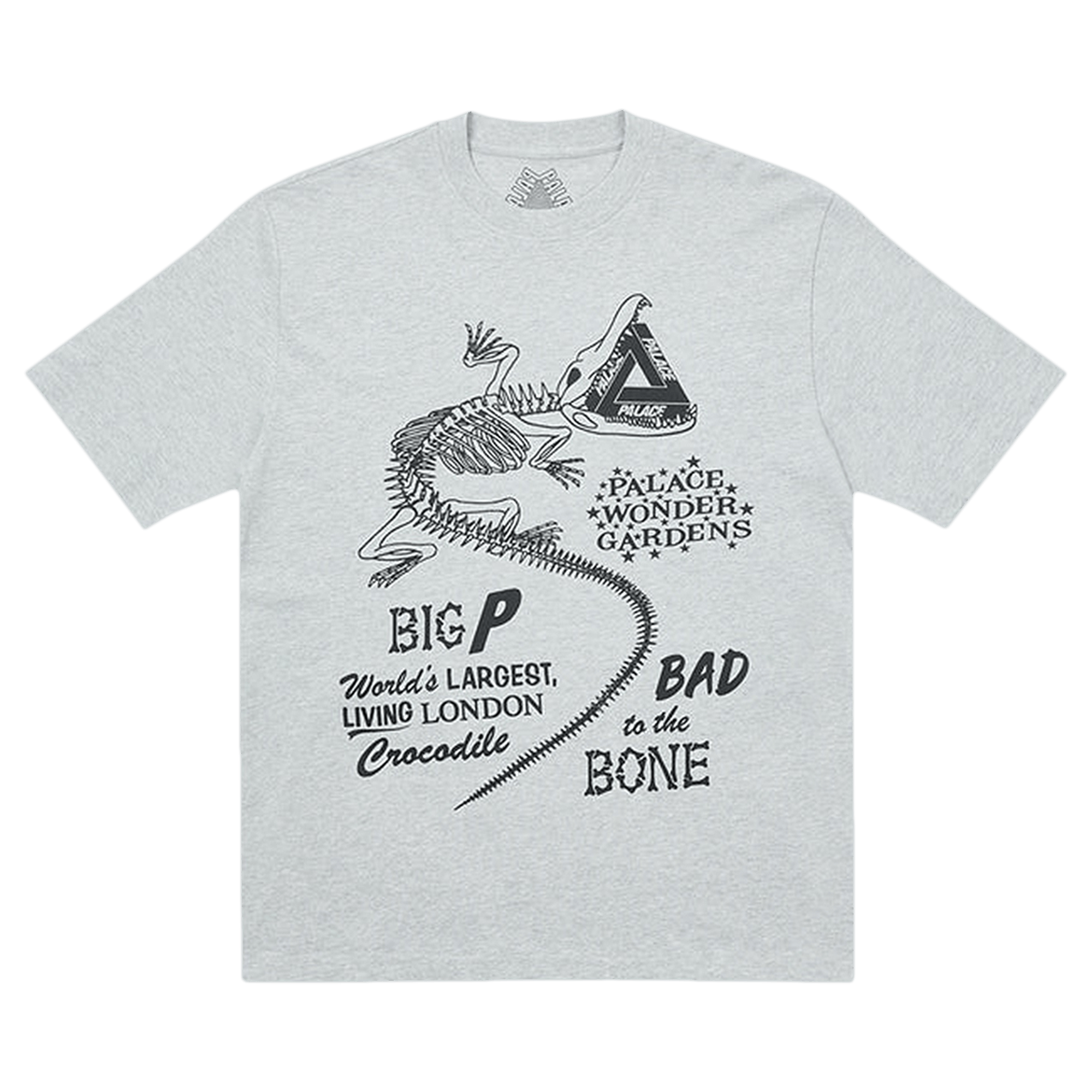 Palace Chomper T-Shirt 'Grey Marl'
