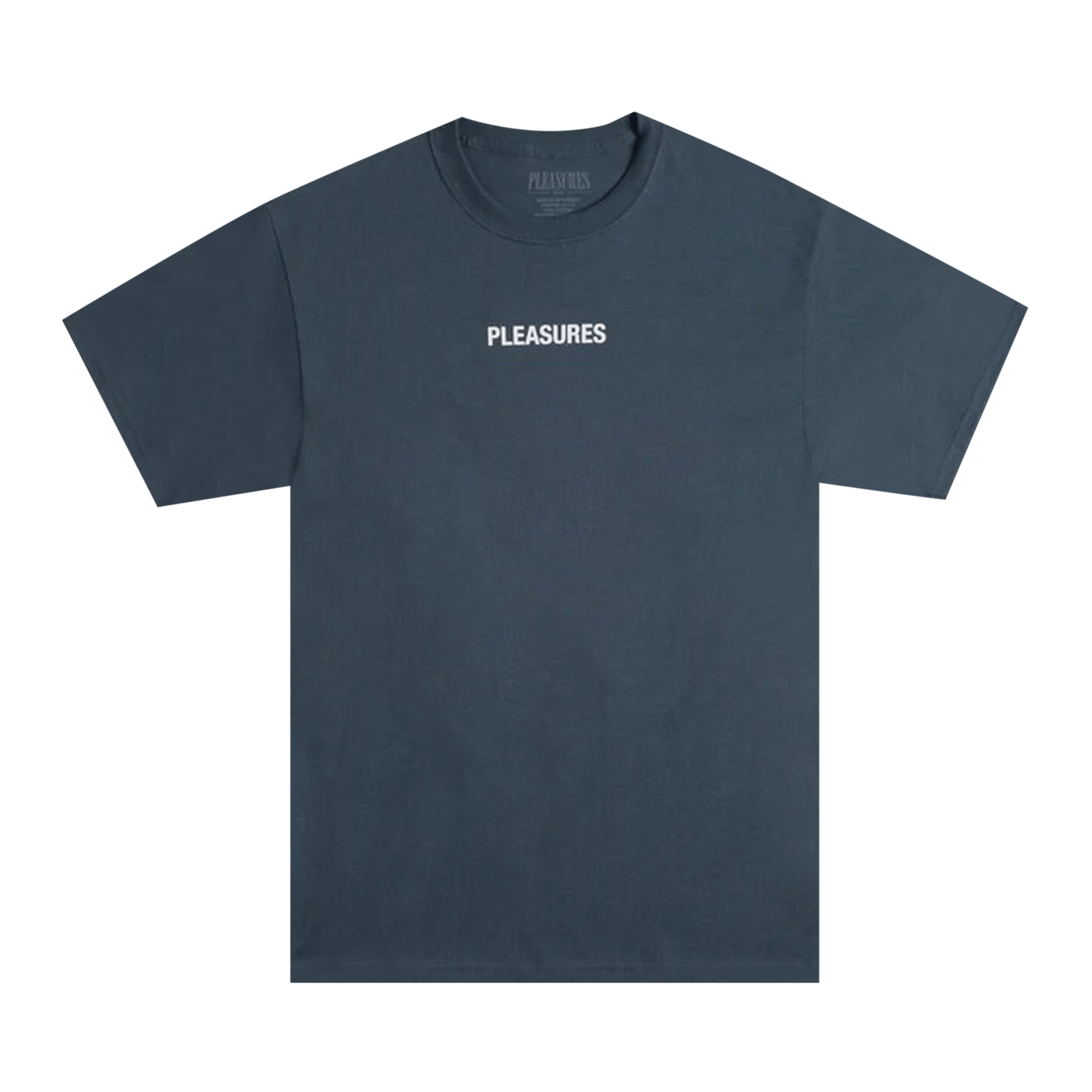 Pleasures Flying T-Shirt 'Slate'