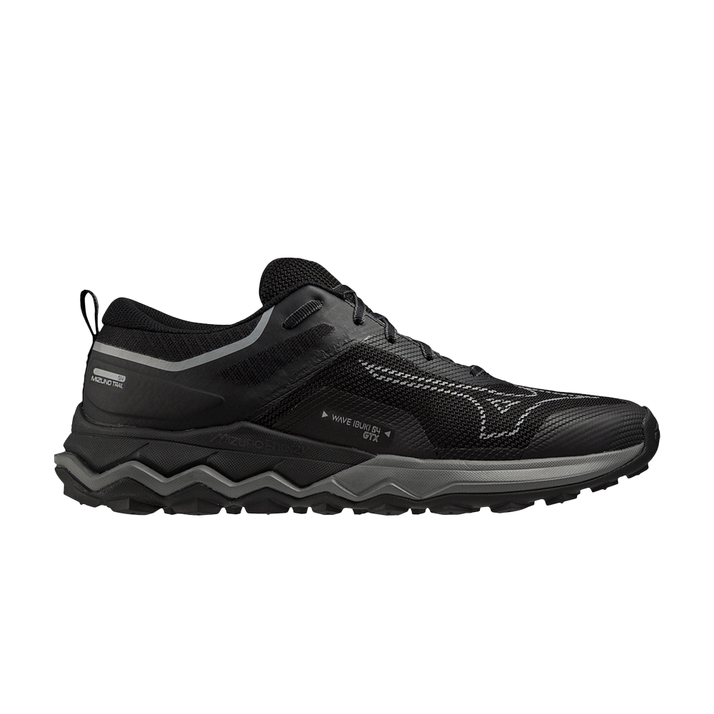 Wmns Wave Ibuki 4 GORE-TEX 'Black Quiet Shade'