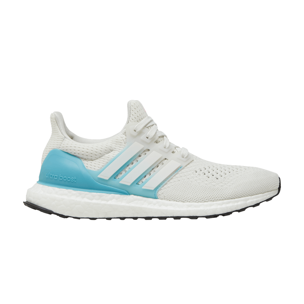 adidas Wmns UltraBoost 1.0 'White Preloved Blue'