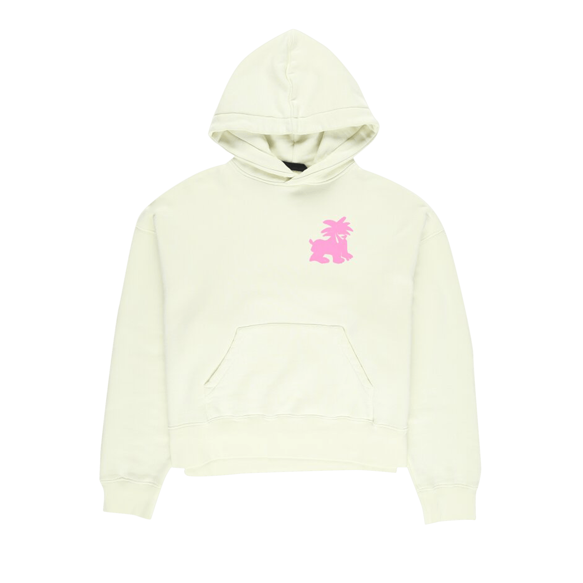 Palm Angels Leon Classic Hoodie 'Pale Green/Fuchsia'