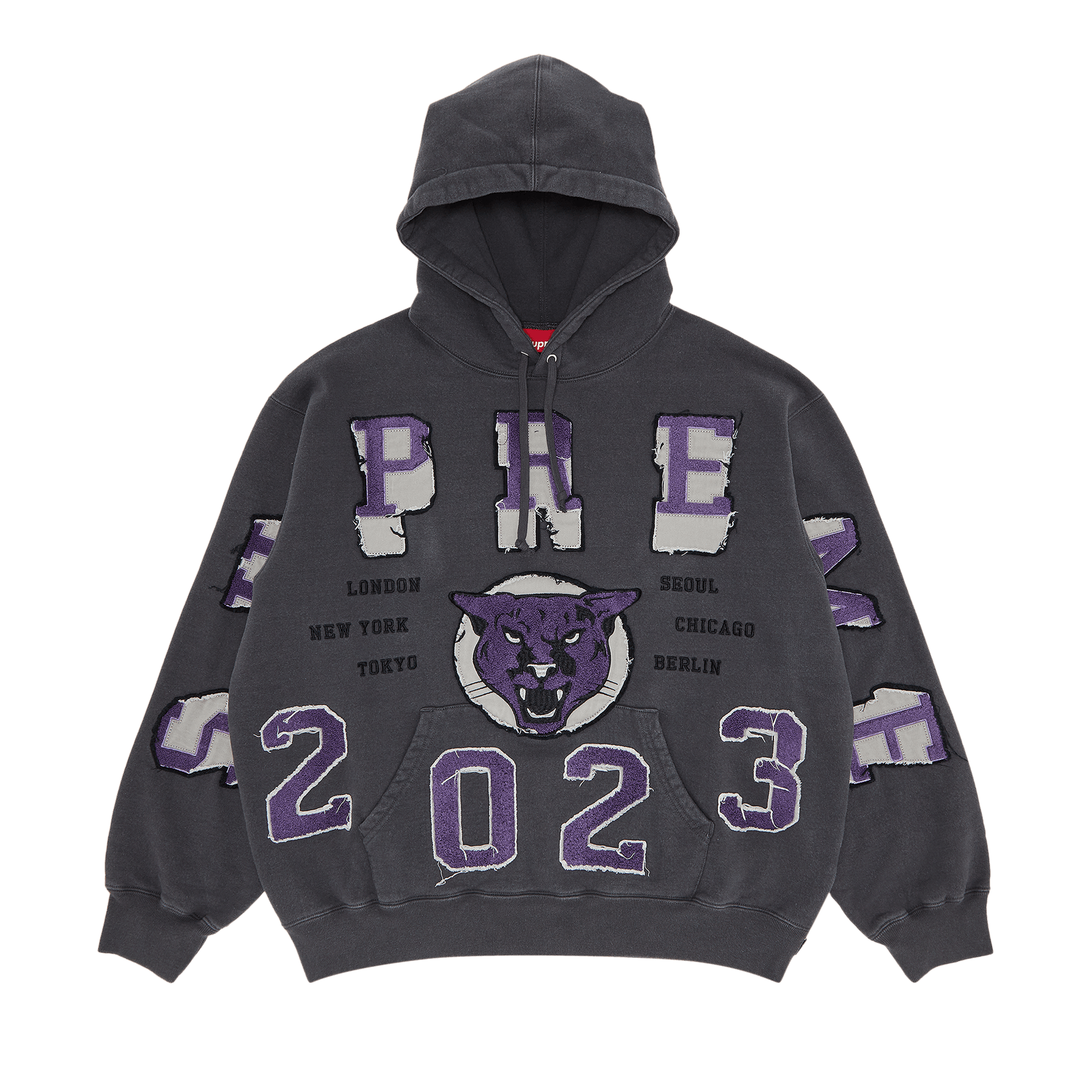 Supreme Washed Panther Hooded Sweatshirt 'Black'