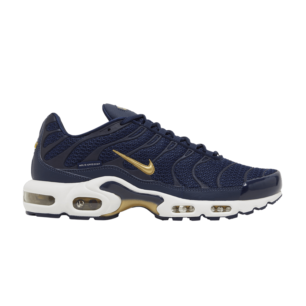 Nike Air Max Plus 'French Football Federation'