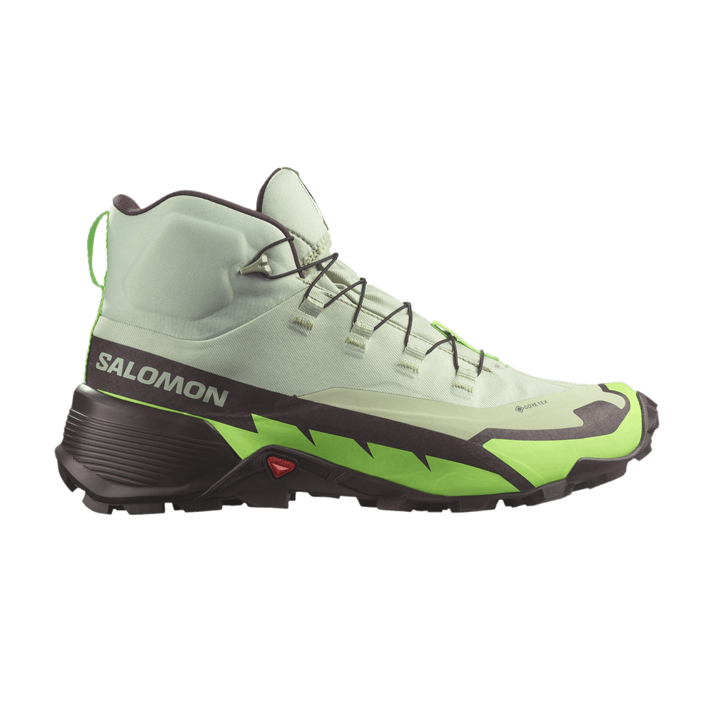 Salomon Cross Hike 2 Mid GORE-TEX 'Desert Sage Green Gecko'