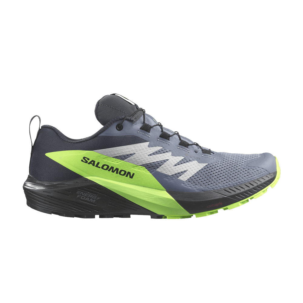 Salomon Sense Ride 5 GORE-TEX 'Flint Stone Green Gecko'