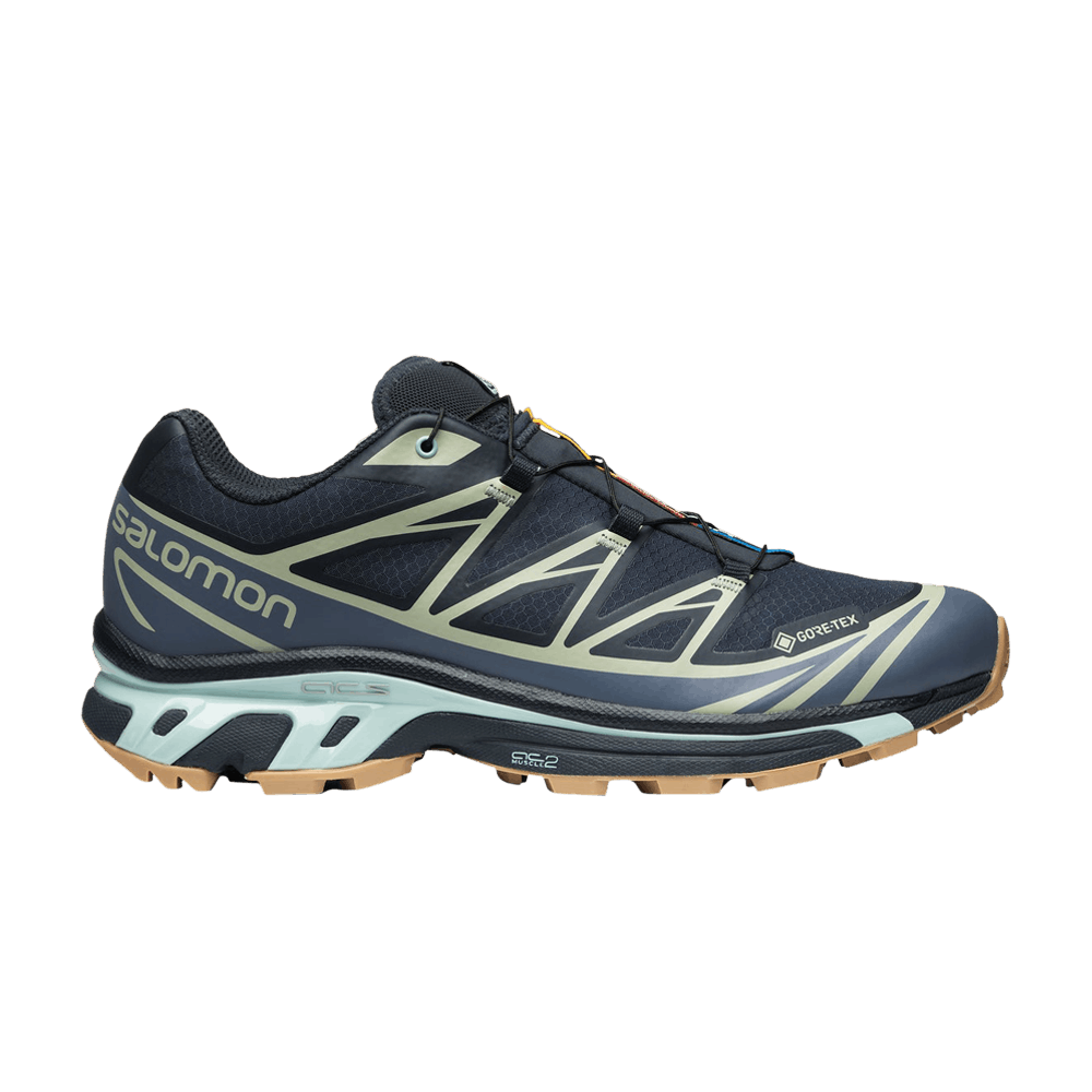 Salomon XT-6 GORE-TEX 'Carbon Desert Sage'