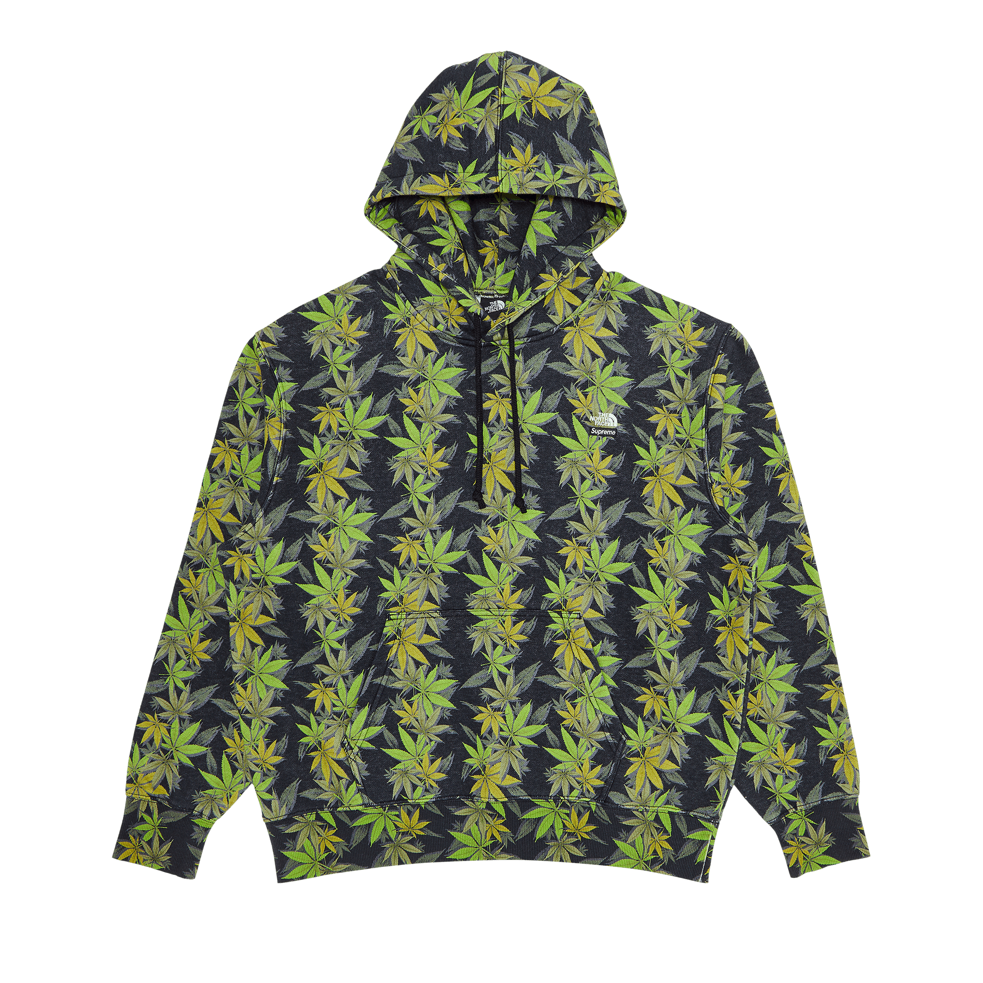 Supreme x The North Face Leaf Hooded Sweatshirt 'Black'