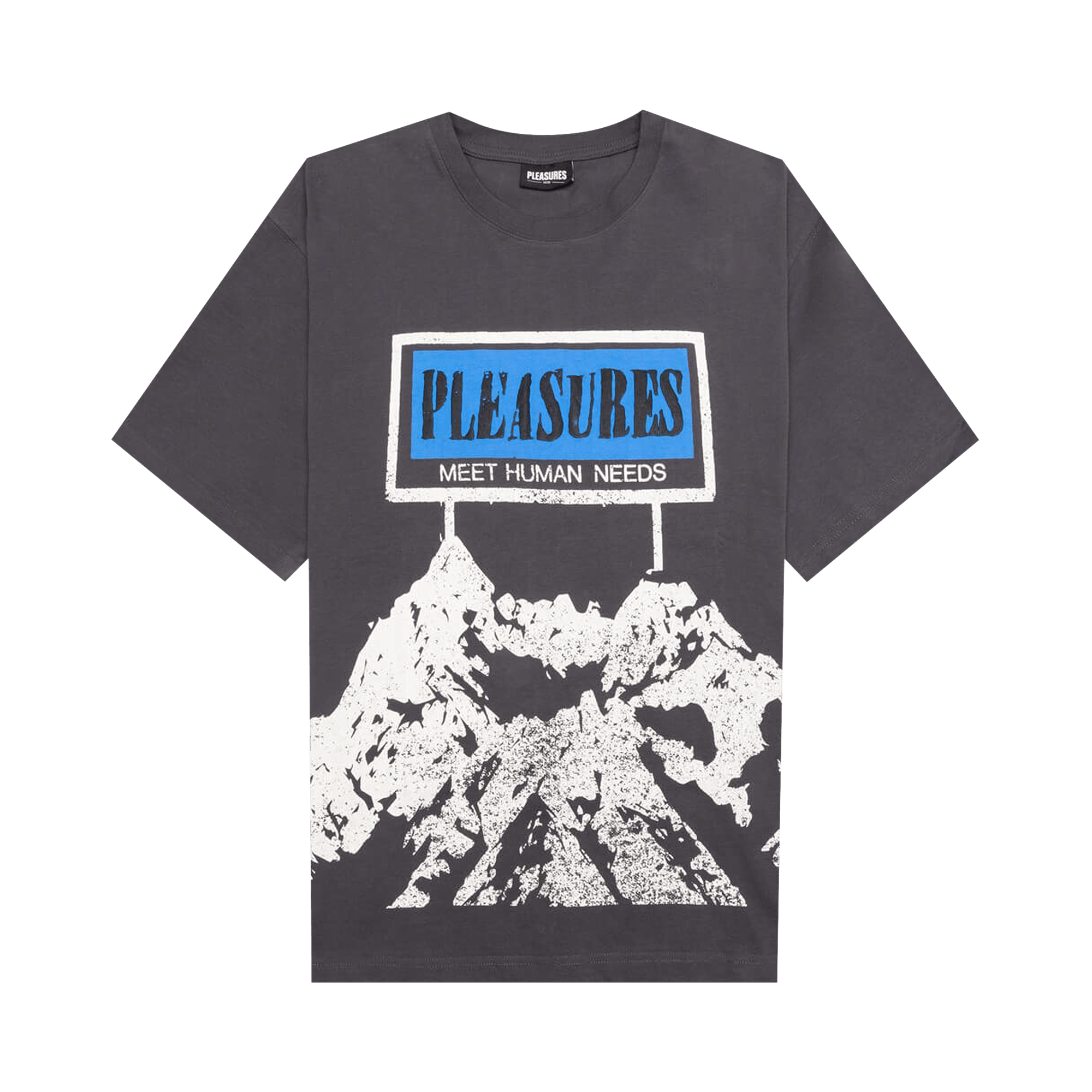 Pleasures Human Needs Heavyweight Shirt 'Grey'