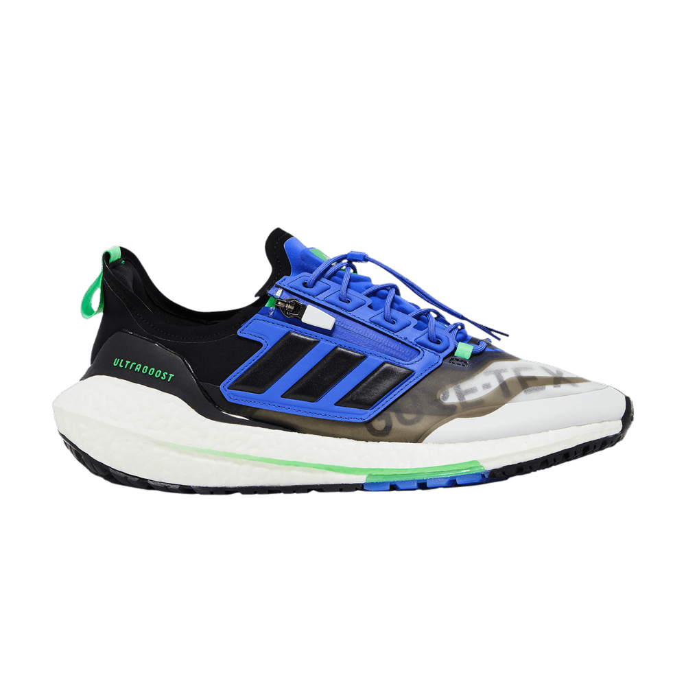 adidas UltraBoost 21 GORE-TEX 'White Sonic Ink'