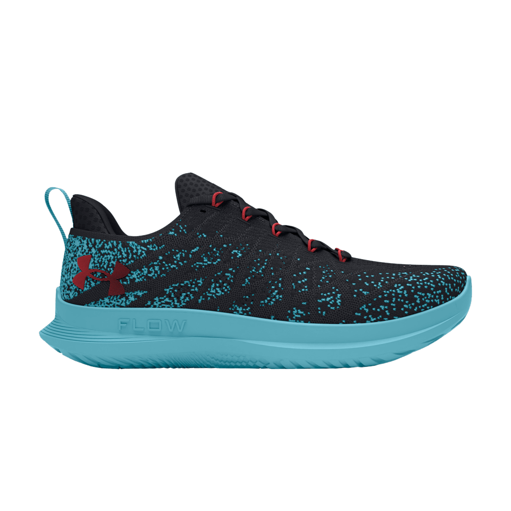素晴らしい価格 Blue' Sky 'Black 3 Velociti Buy - GOAT | 005 3026117 ビカクシダ
