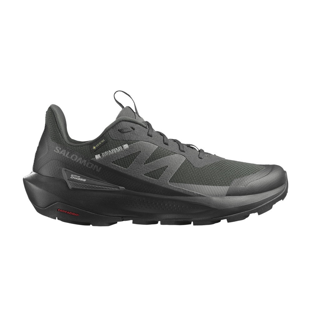 Salomon Elixir Activ GORE-TEX 'Phantom'