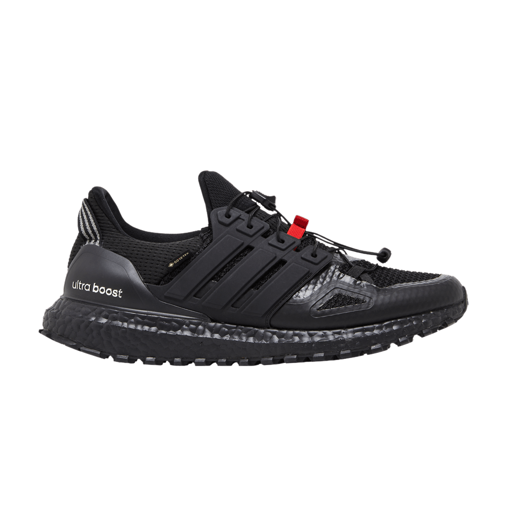 Adidas UltraBoost 1.0 GORE-TEX 'Underground'