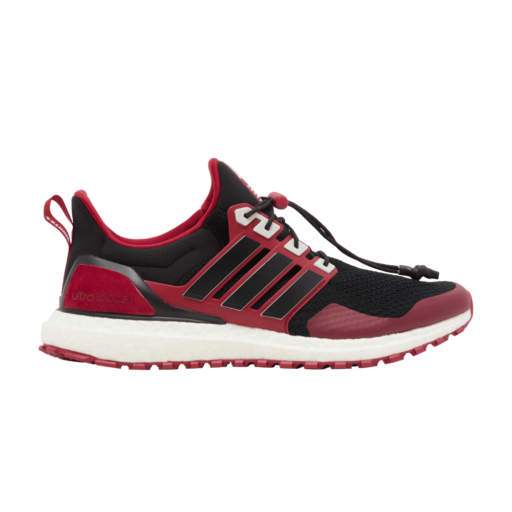 Adidas UltraBoost 1.0 'NCAA Pack - Rutgers'
