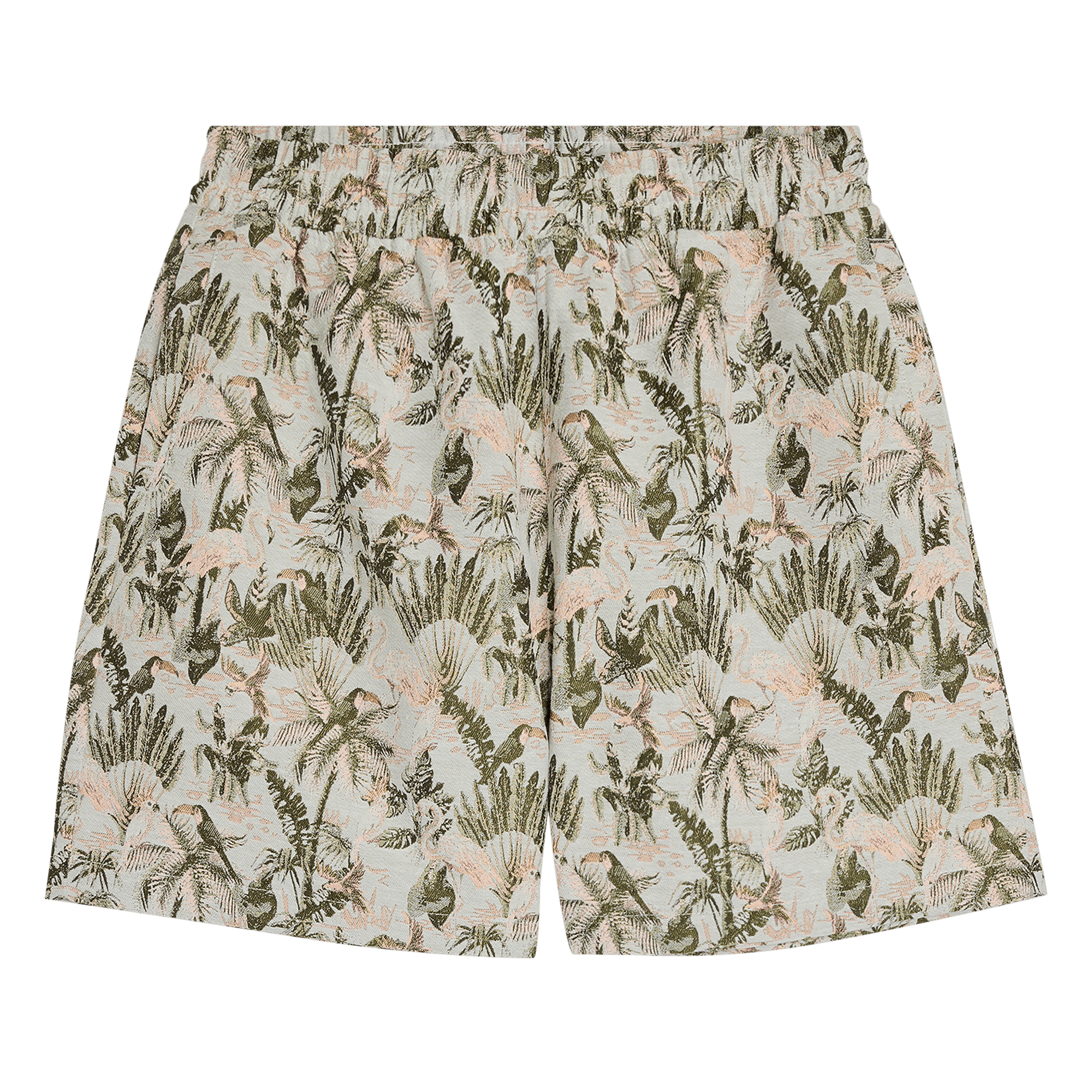 Pleasures Parrot Shorts 'Grey'