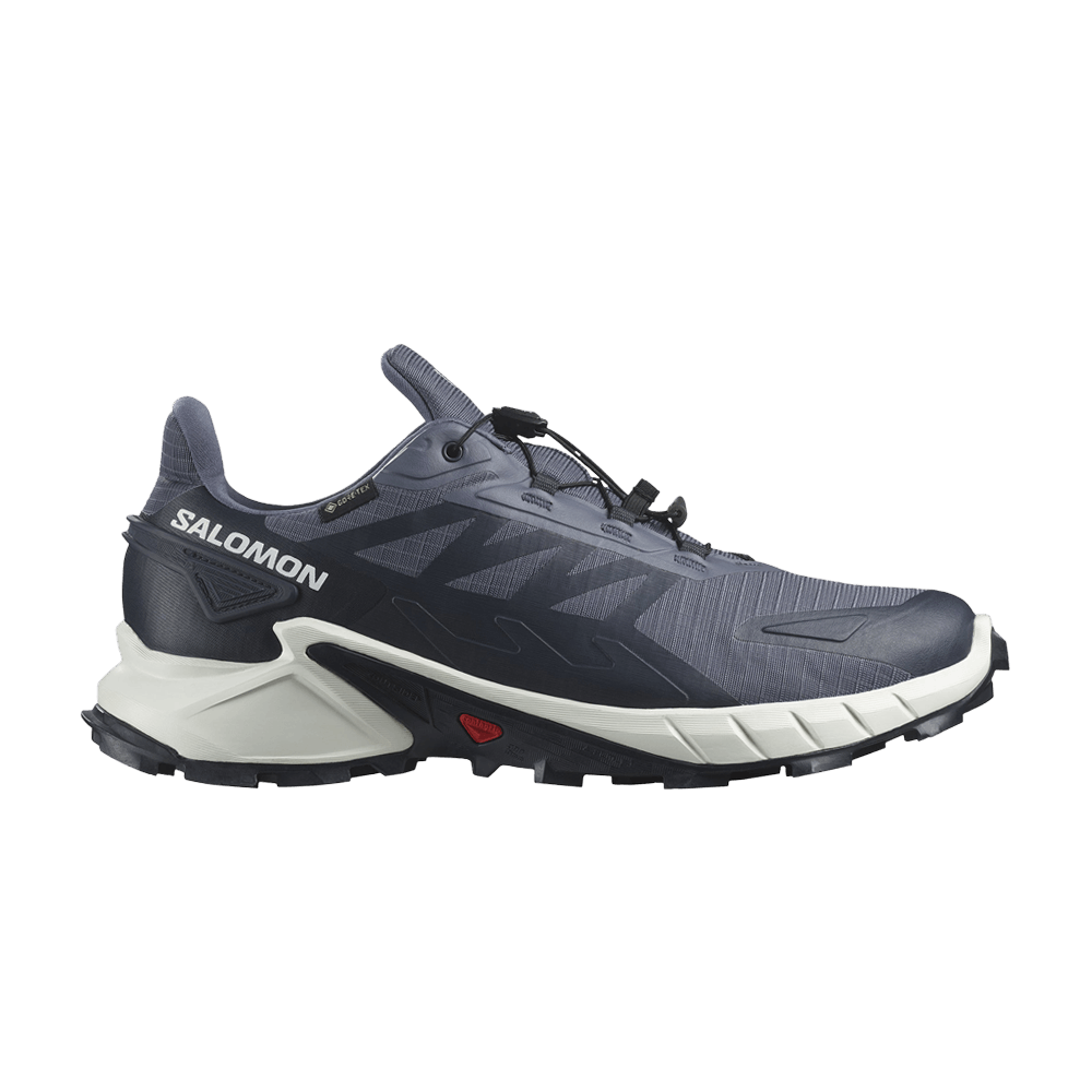 Salomon Supercross 4 GORE-TEX 'Grisaille Carbon'