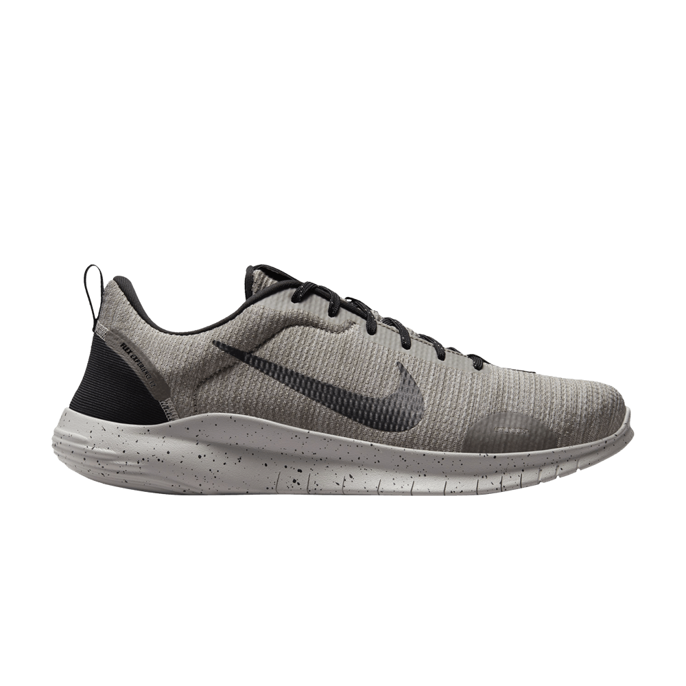 Nike Flex Experience Run 12 'Light Iron Ore Black'