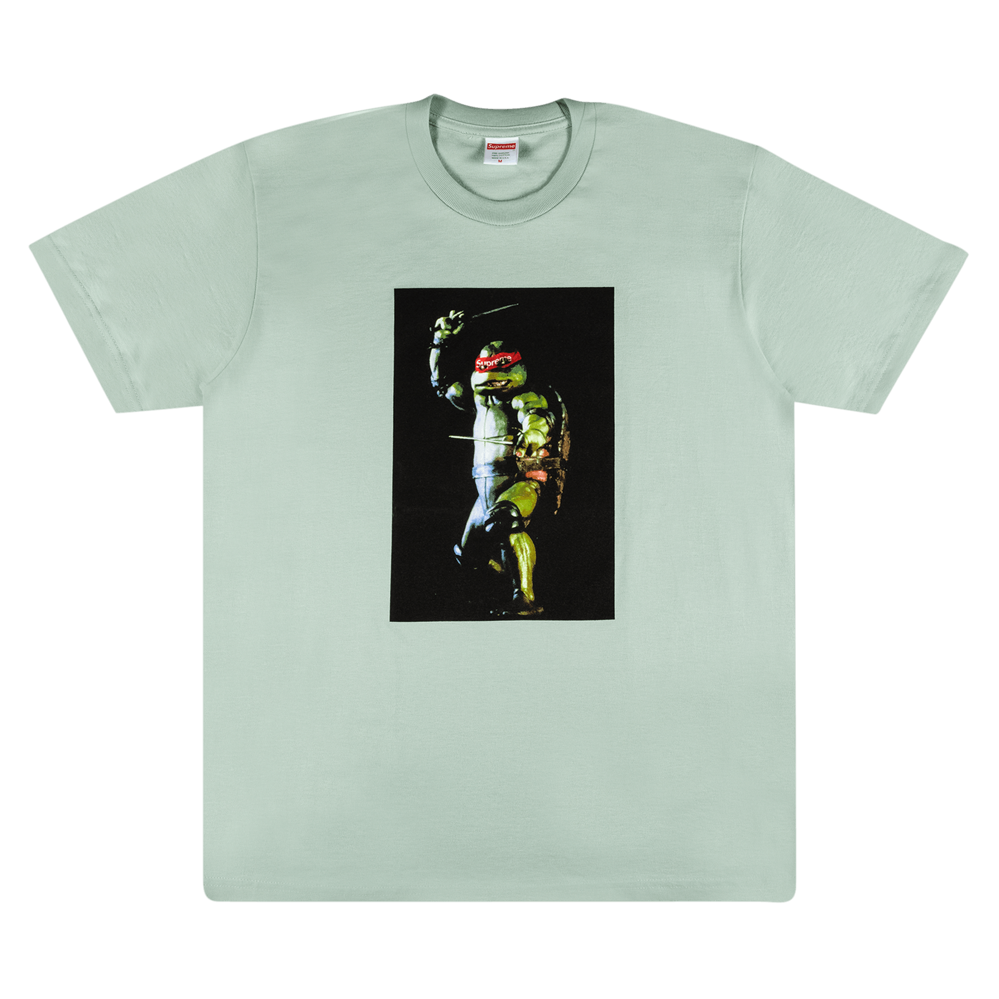 Supreme Raphael Tee 'Pale Aqua'