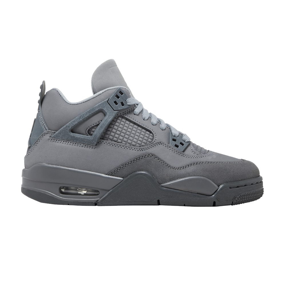 Air Jordan 4 Retro SE GS 