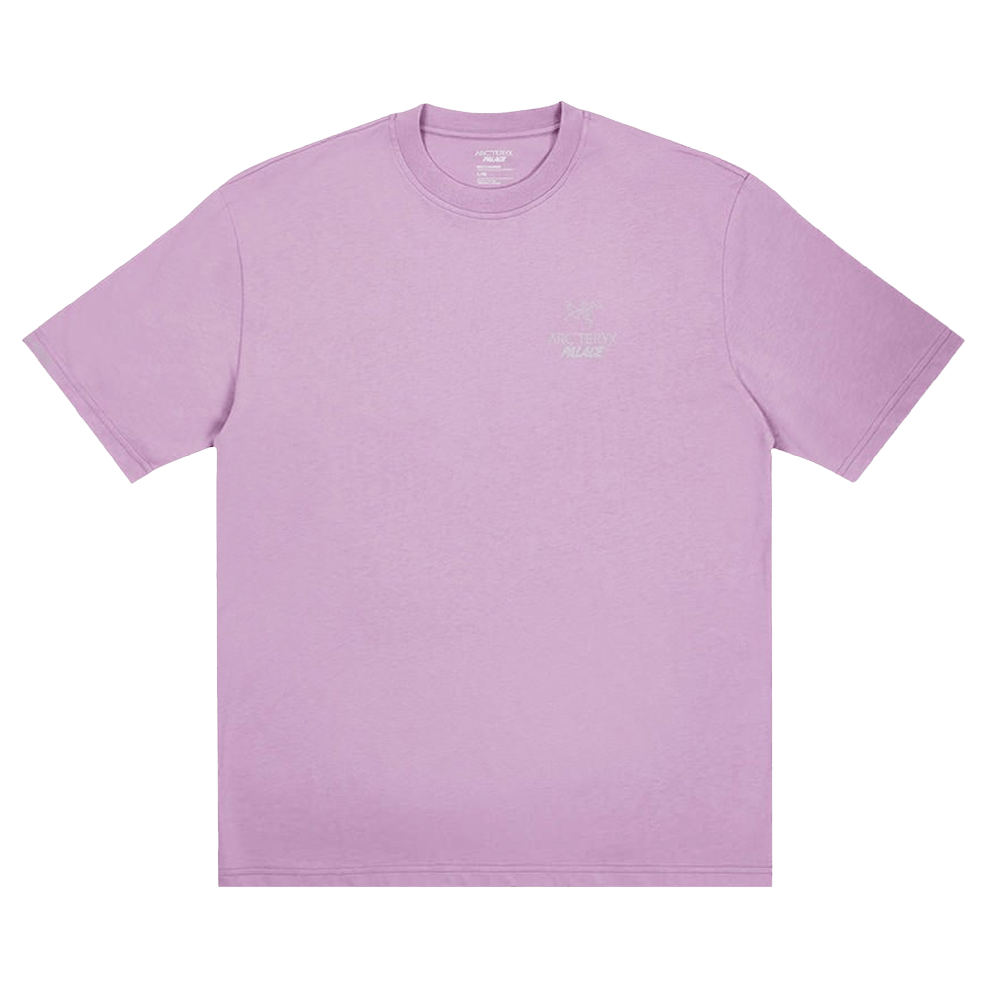 Palace x Arc'teryx T-Shirt 'Haze'