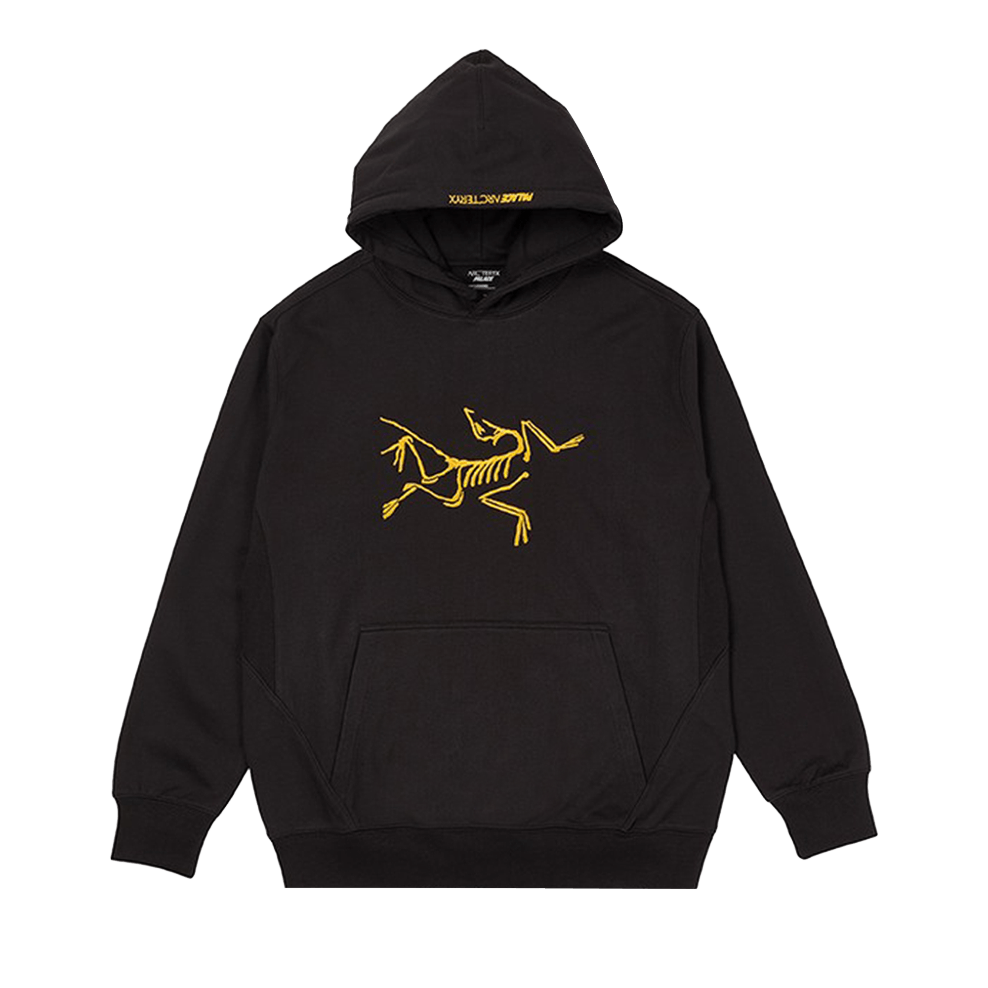 Palace x Arc'teryx Hood 'Black'