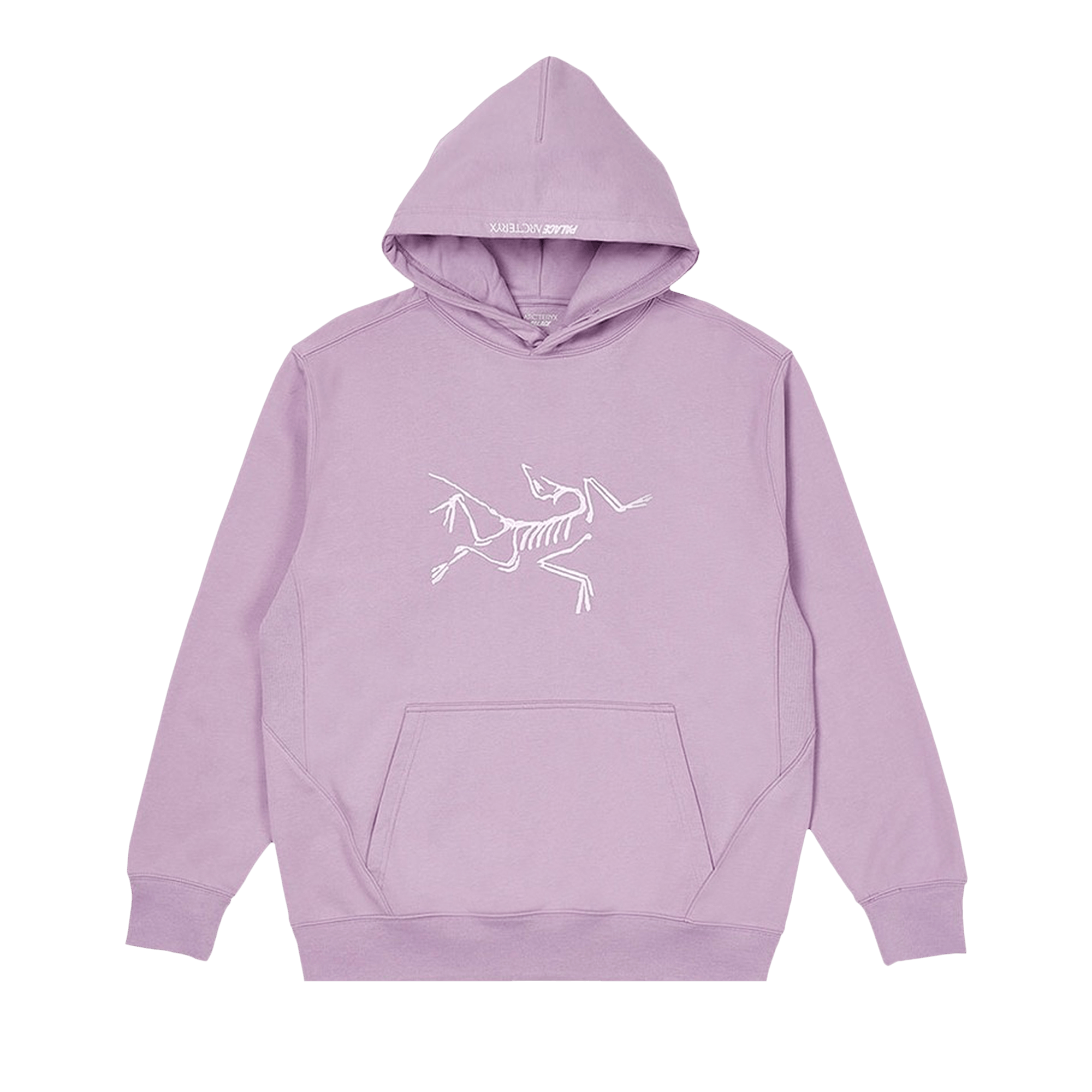 Palace x Arc'teryx Hood 'Haze'