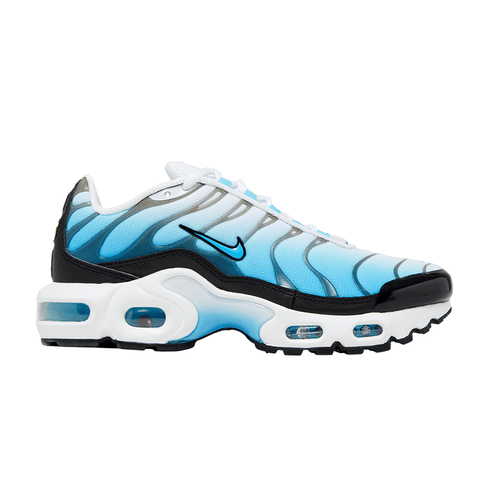 Nike Air Max Plus GS 'Ice'