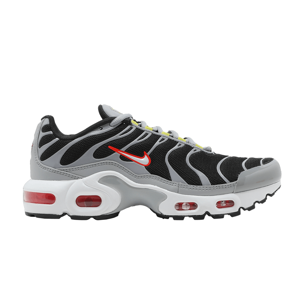 Nike Air Max Plus GS 'Dark Smoke Grey'