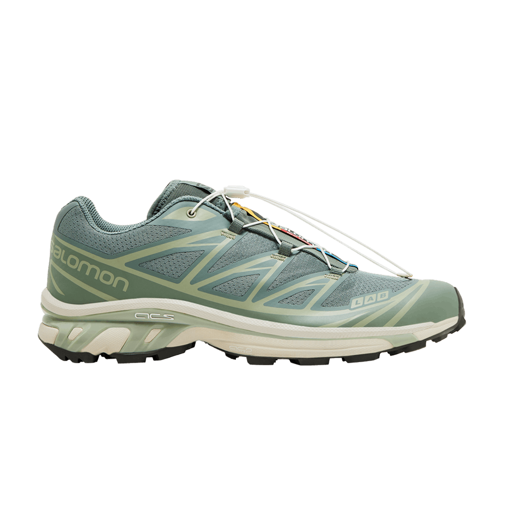 Salomon XT-6 'Laurel Wreath'