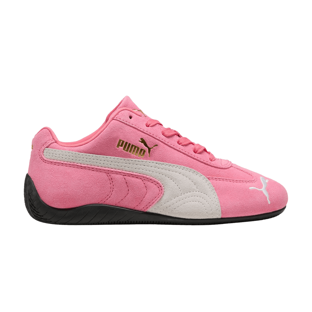 Buy Puma Wmns MagMax Nitro 'Cool Weather' - 310089 08 | GOAT
