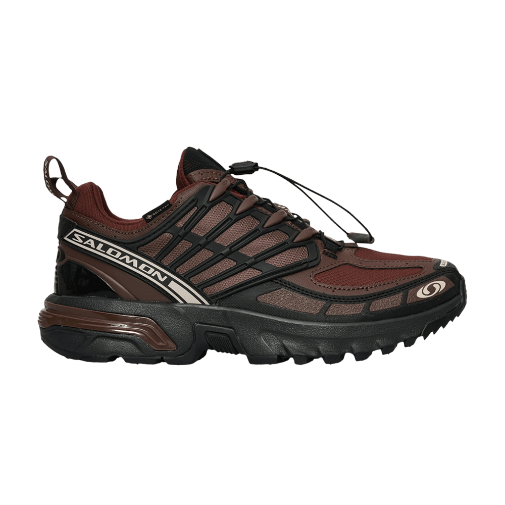 Salomon ACS Pro GORE-TEX 'Clay Rum Raisin'