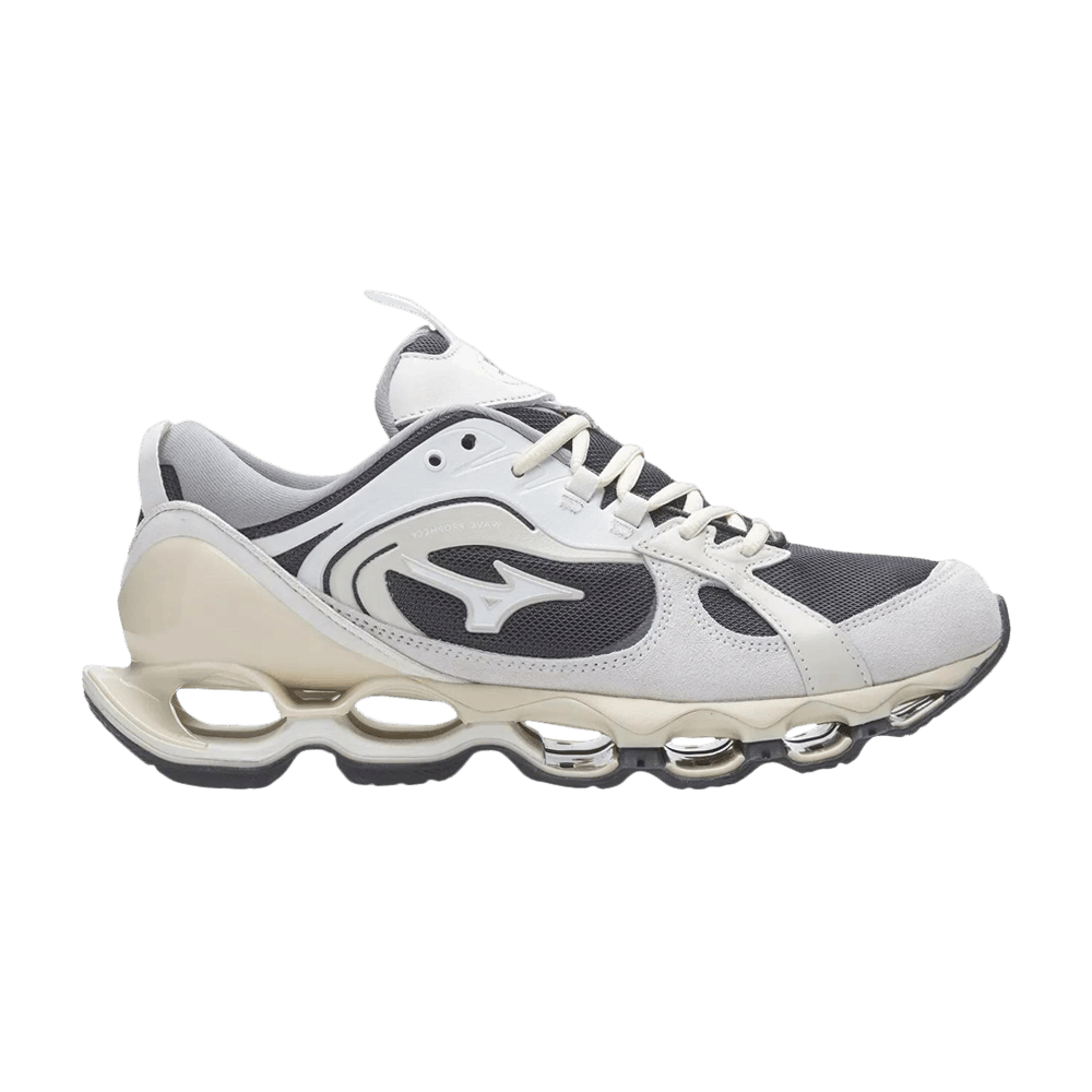 Mizuno Wave Prophecy Beta 2 'Dark Shadow'