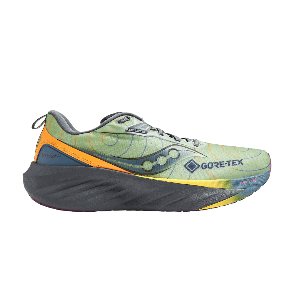 Saucony Triumph 22 GORE-TEX 'Sage Carbon'