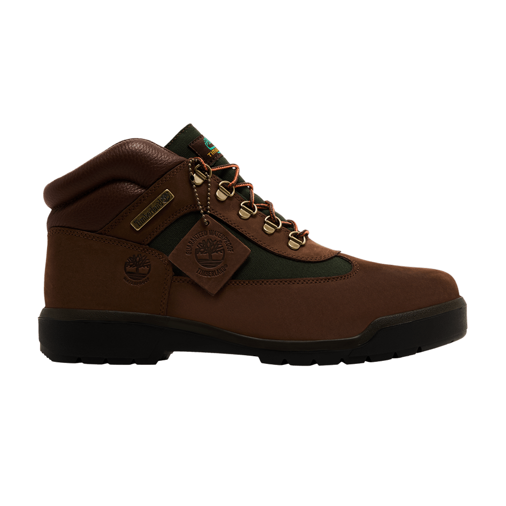 Timberland Field Boot Mid Waterproof 'Chocolate'
