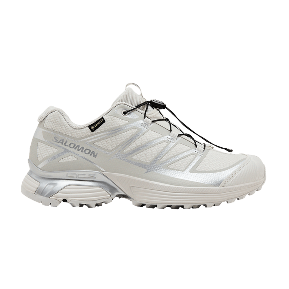 Salomon XT-Pathway GORE-TEX 'Lunar Rock'