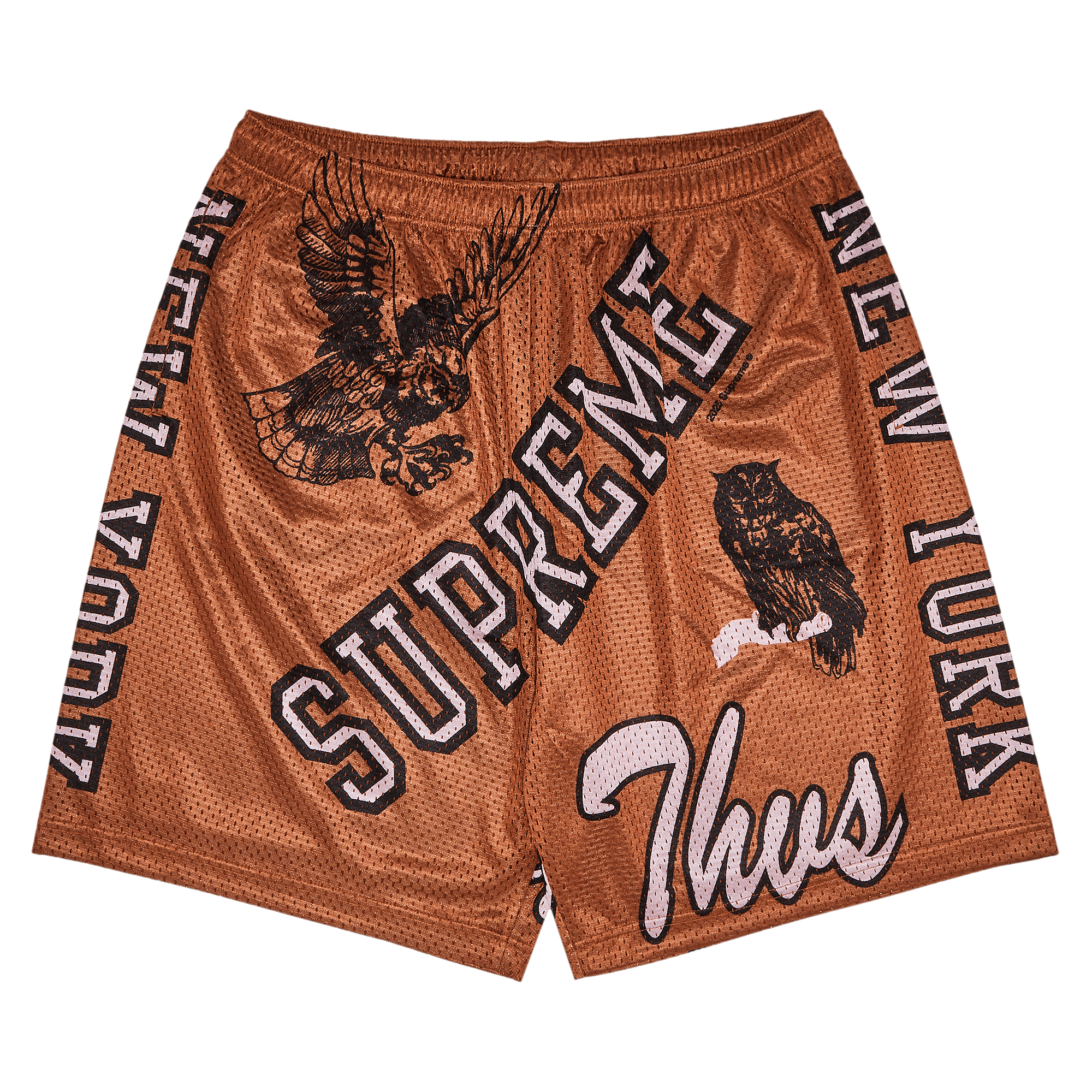 Supreme Varsity Mesh Short 'Rust'