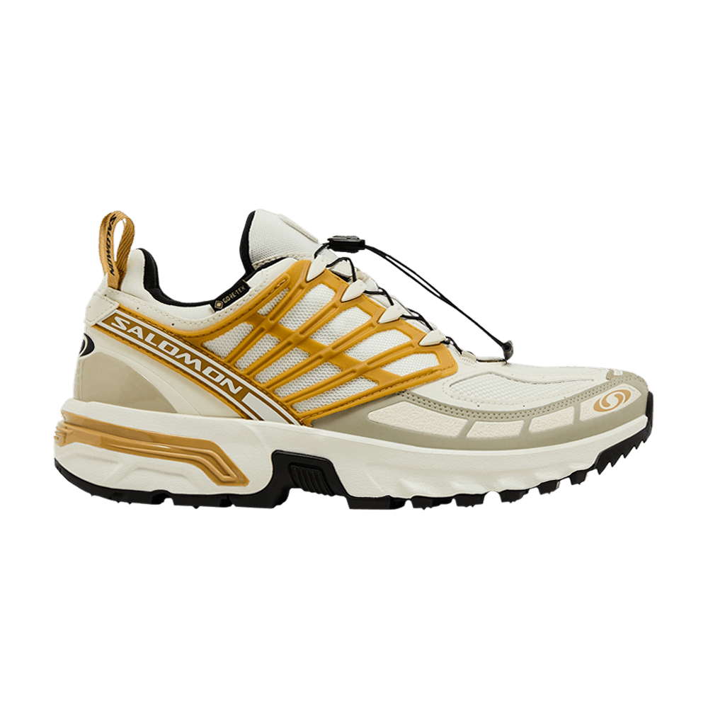 Salomon ACS Pro GORE-TEX 'Icicle Antelope'