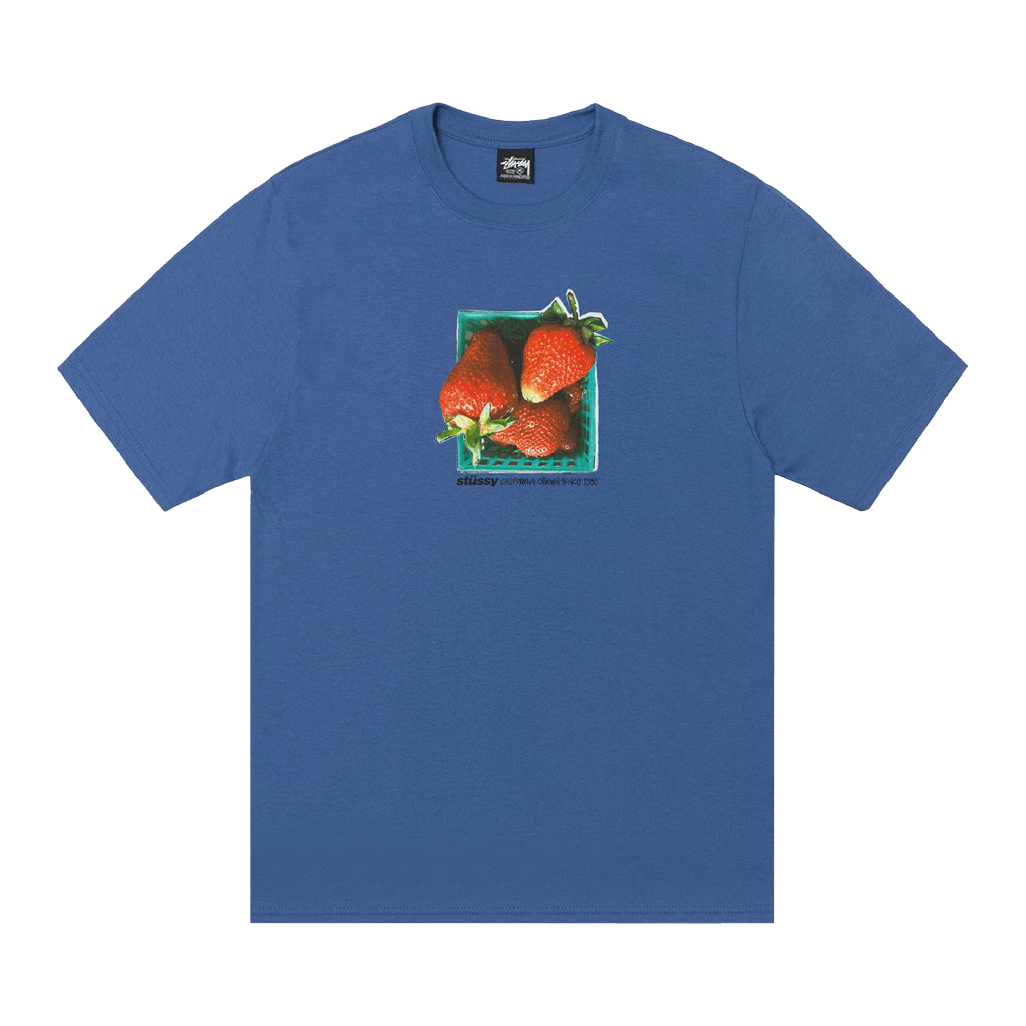 Stussy Berries Tee 'Blue'