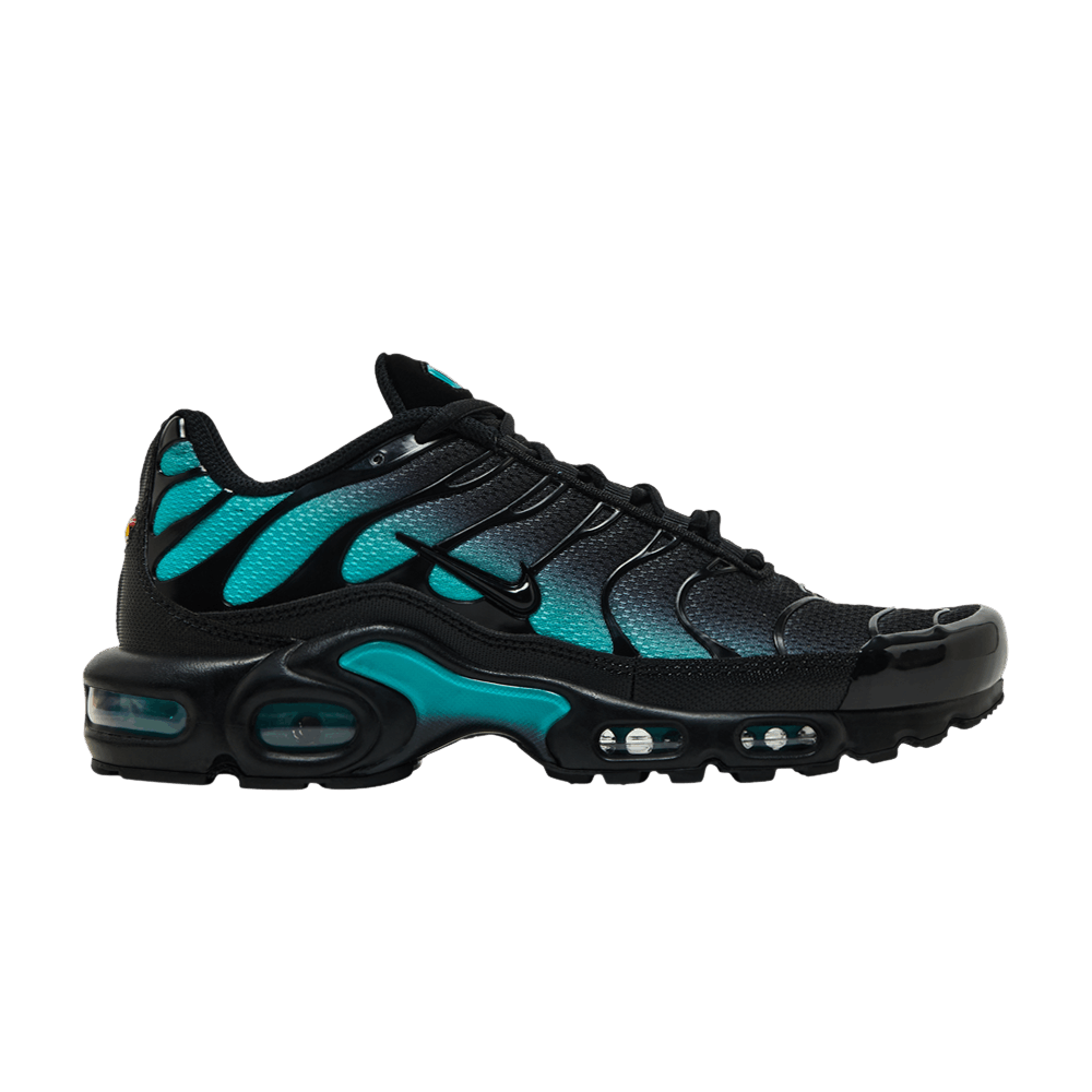 Nike Air Max Plus 'Black Dusty Cactus'