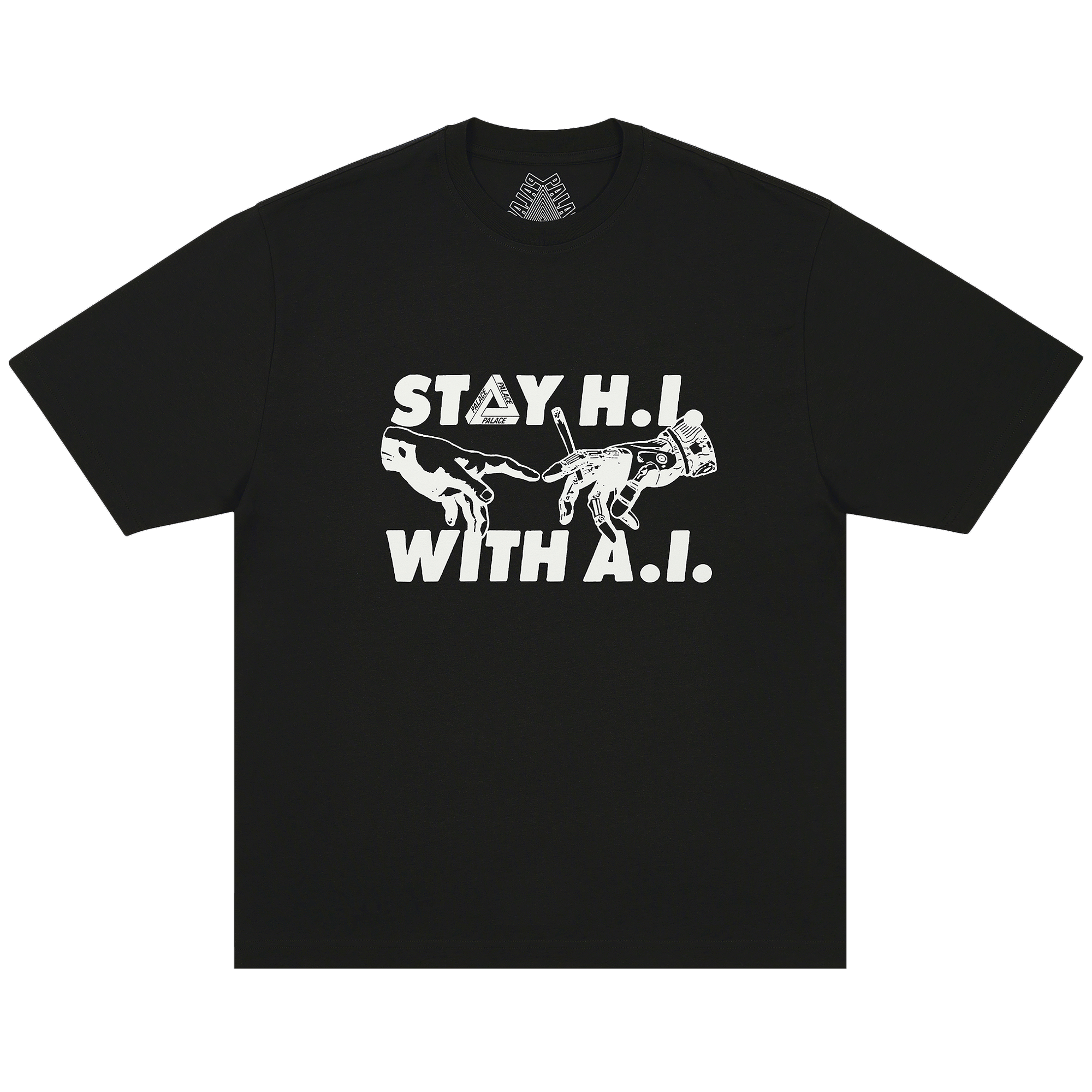 Palace Indica T-Shirt 'Black'