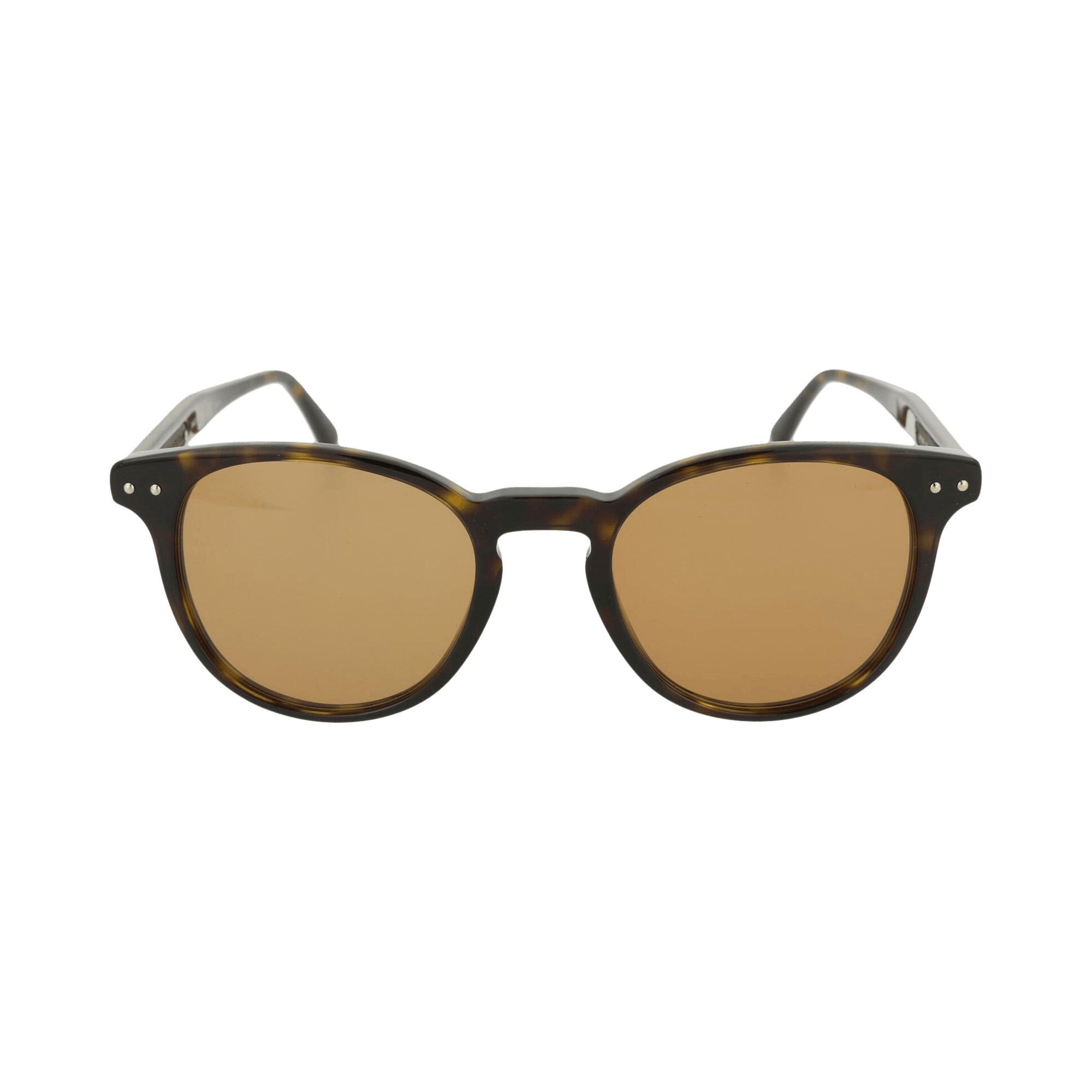 Bottega Veneta Round-Frame Acetate Sunglasses 'Shiny Dark Havana'