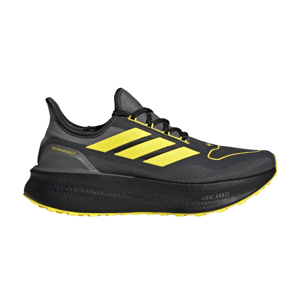 adidas Ultraboost 5 GTX 'Carbon Core Black'