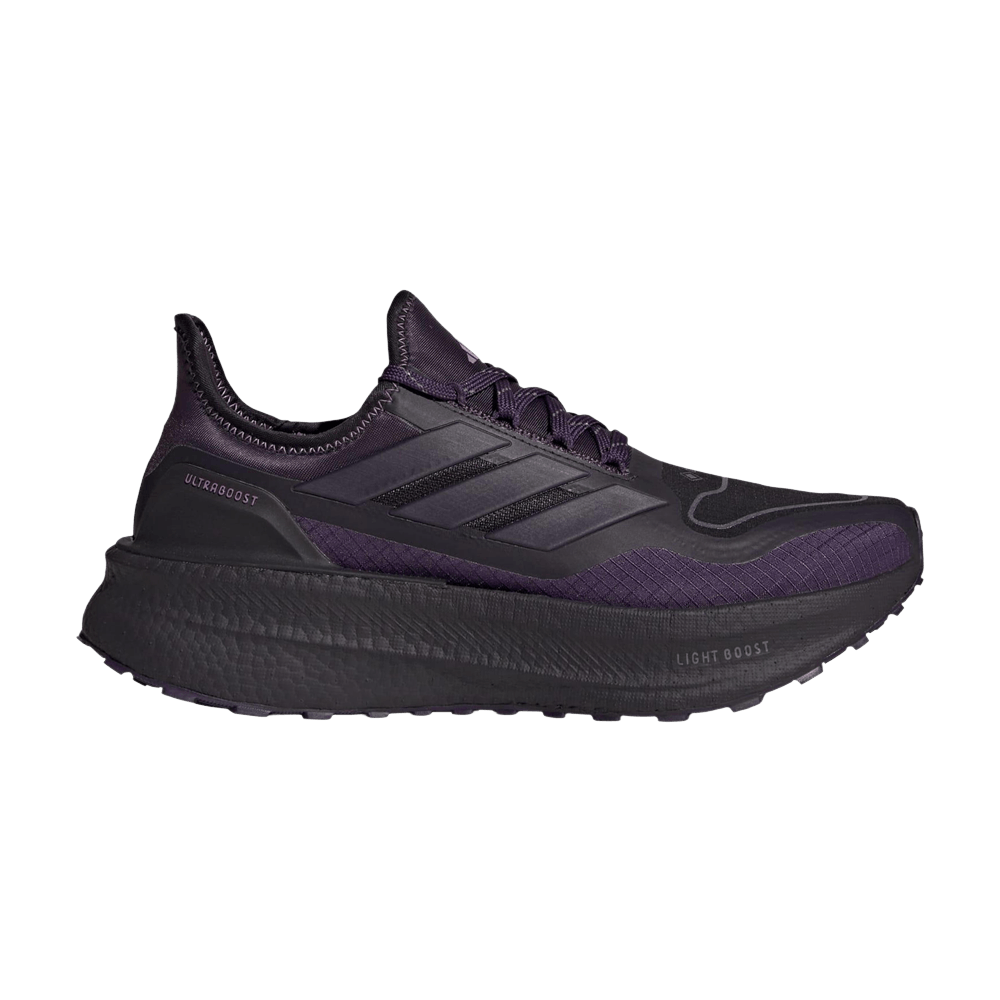 adidas WMNS ULTRABOOST 5 GTX 'Aurora Black'