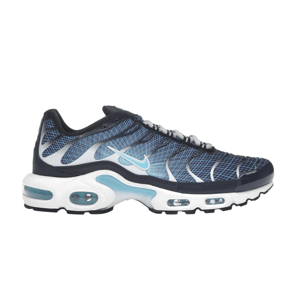 Buy Nike Wmns Air Max Plus 'Mink Brown' - DZ3671 200 | GOAT