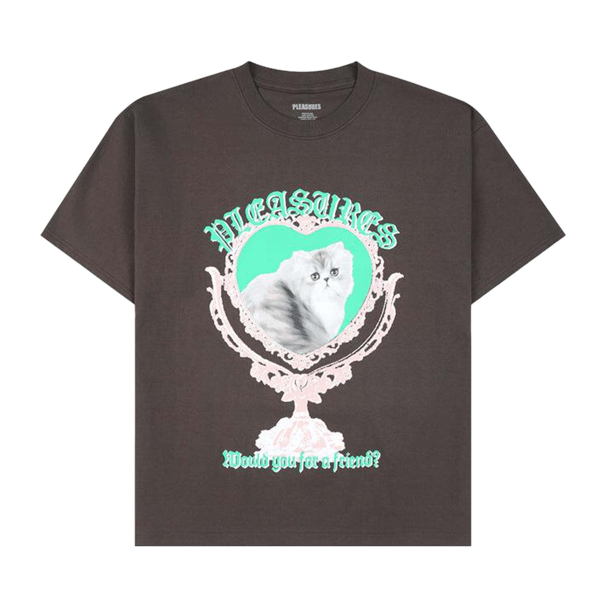 Pleasures Mirror T-Shirt 'Brown'