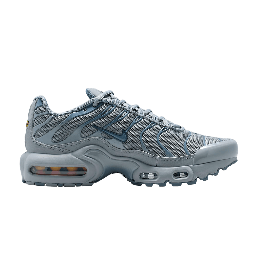 Nike Air Max Plus GS 'Stealth Monsoon Blue'