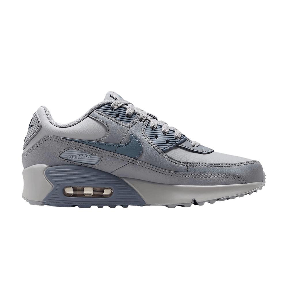 Nike Air Max 90 LTR GS 'Wolf Grey Stealth'